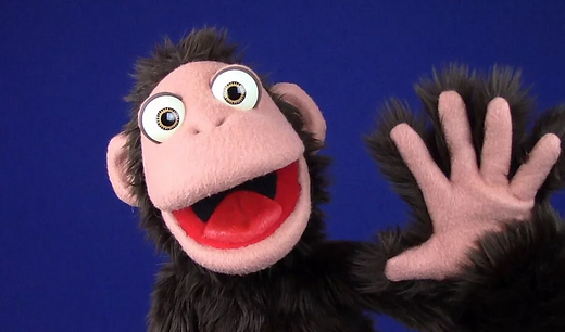 Monkey hi_edited.png