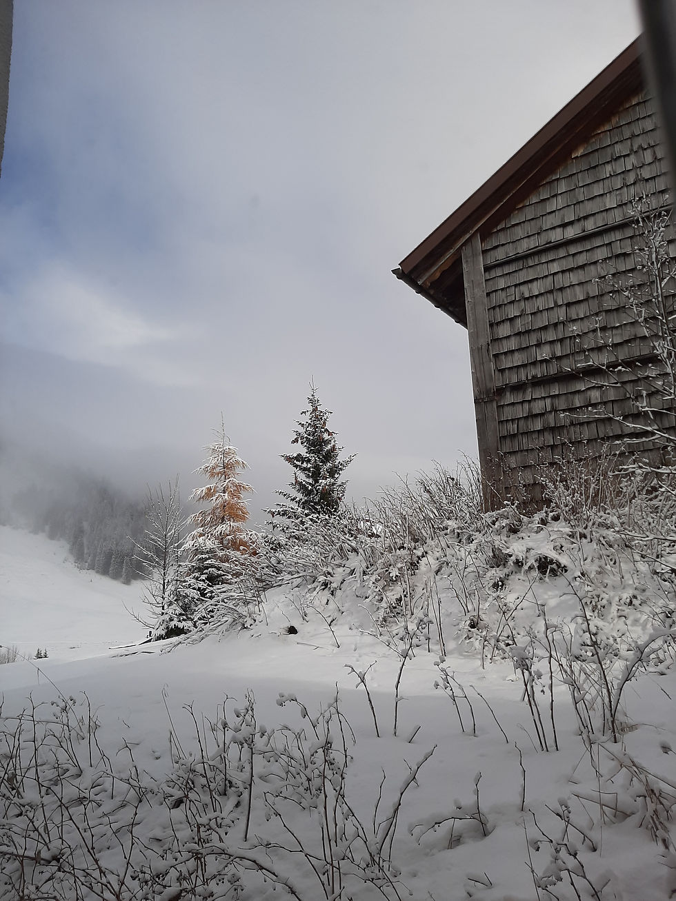 Blick vom Haus Wallis in Richtung Lechtal im Winter