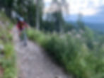 Sonnhof Apartments am Tegernsee - Mountainbike am Tegernsee