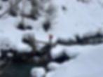 Skitouren und Bergwandern im Winter in Warth Schröcken