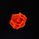 Thumbnail: "...Simply Rose of Lava!"
