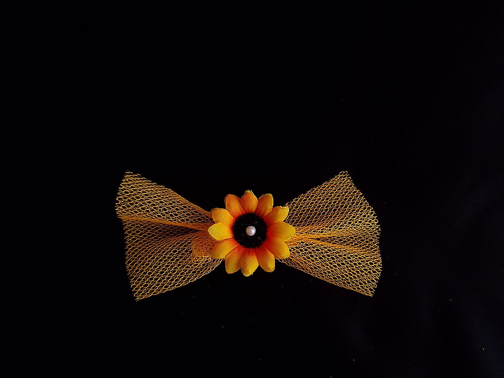 Thumbnail: "...Sunflower Bow!"