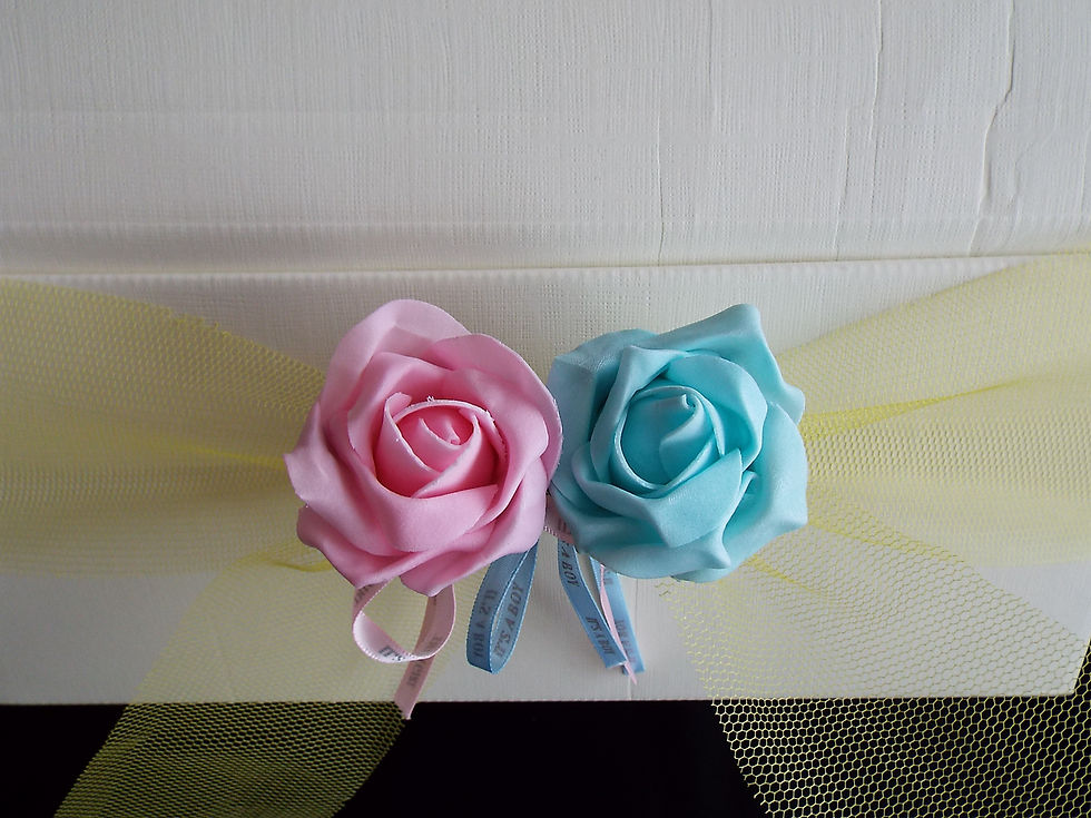 Thumbnail: "...It's twins!" © Wish Box!