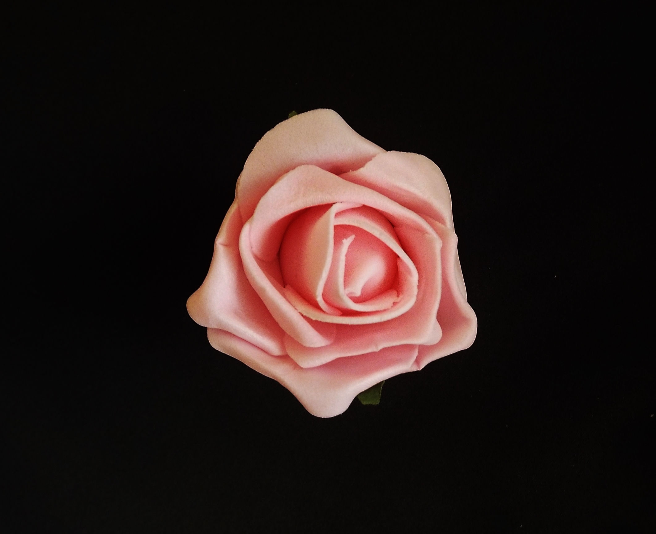 "...Simply Rose of Ethereal Beauty!"