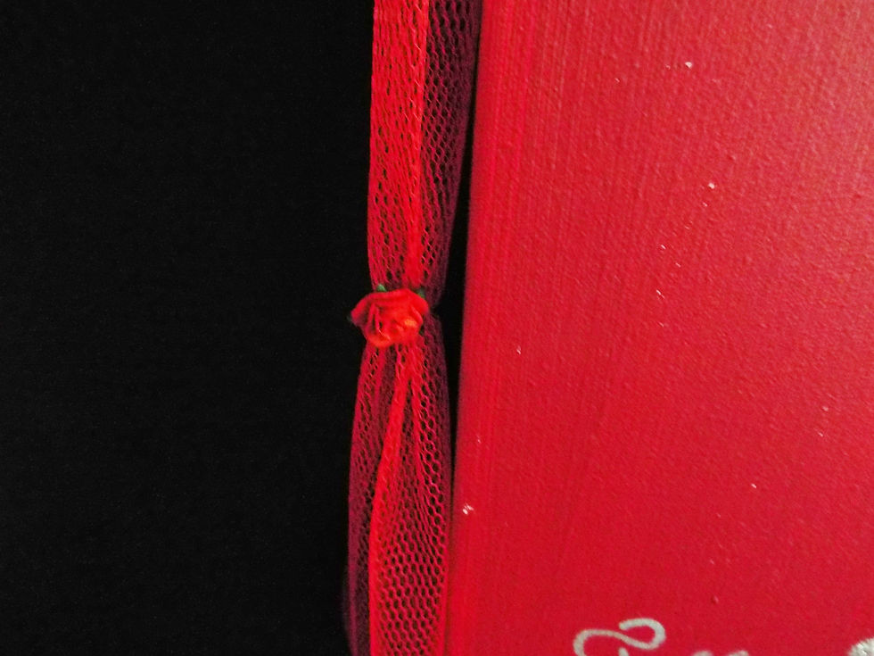 Thumbnail: "...Canvas of Love - Apassionata!"