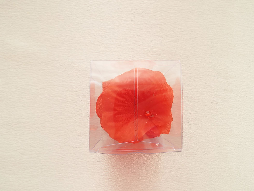 Thumbnail: "...Apassionata's table decoration!"