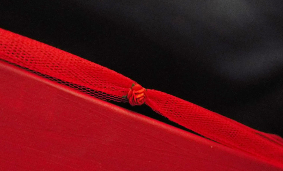 Thumbnail: "...Canvas of Love - Apassionata!"