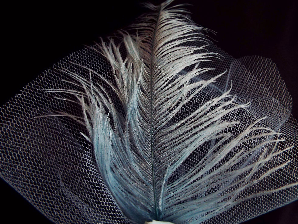 Thumbnail: ''...Feathers of Innocent Dreams!