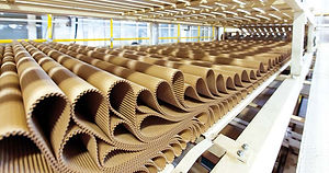 fabricas-carton-produccion.jpg