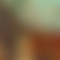 Small handmade goddess figurine resting on tree roots in the Madre Verde jungle.