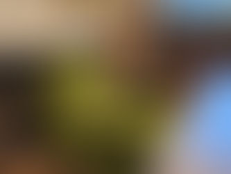 カリモク製 肘掛椅子 張替え