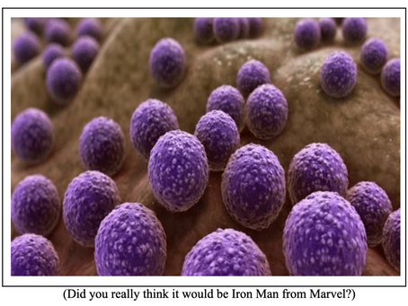 New ‘Iron Man’ Bacteria has potential to protect the Environment