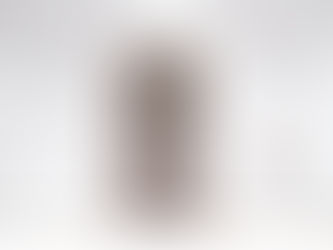 Poem: Elevated Descents