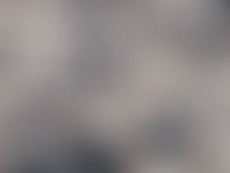 Poem: Professor Stein's Standard