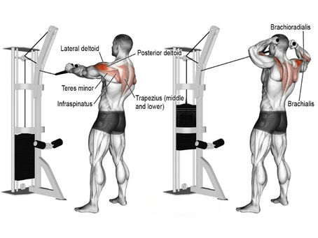 Unlock Your Potential: Why the Face Pull is the Best Corrective Exercise for Developing Extreme Strength