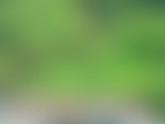 いい感じ・・・落ち着きました