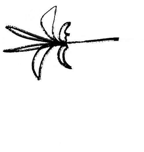 Illustration_sans_titre.jpg
