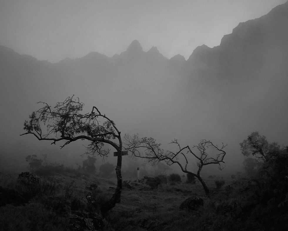 LODLO_38.jpg