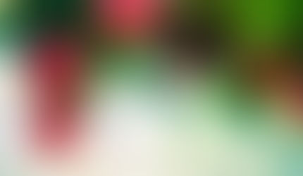 Bolluk bereketin sırrı zihinde başlar