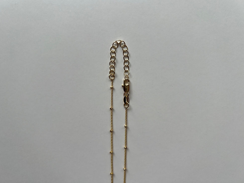 18K Gold Filled Horn Necklace