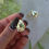 Thumbnail: 18K Gold Filled Pearly Teardrop Earrings