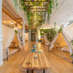 4124d7fc-8537-4413-ae9e-d79b38de31ad.jfif