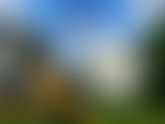 Happy Labor Day! 🇺🇸