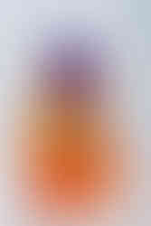 Hair with Purple to Orange Ombre Coloring  