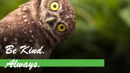 This is a bit random...