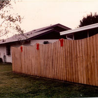 scan0255