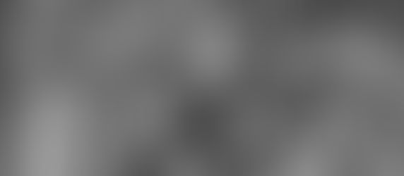 The Transatlantic Slave Trade Fact or Fiction