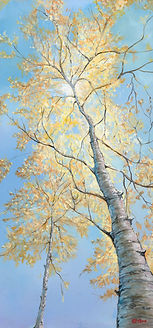 Sunlit Birch_12x24_Acrylic.jpg
