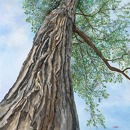 Looking Up_20x20_Acrylic.jpg