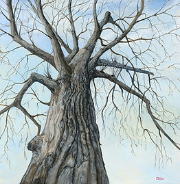 Forest Giant_20x20_Acrylic.jpg