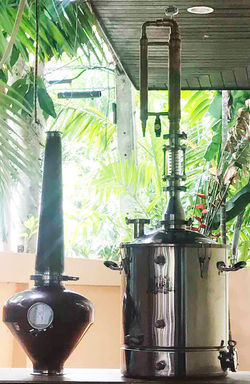 СВАРОГ в Таиланде