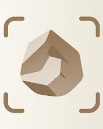 unnamed (5).webp
