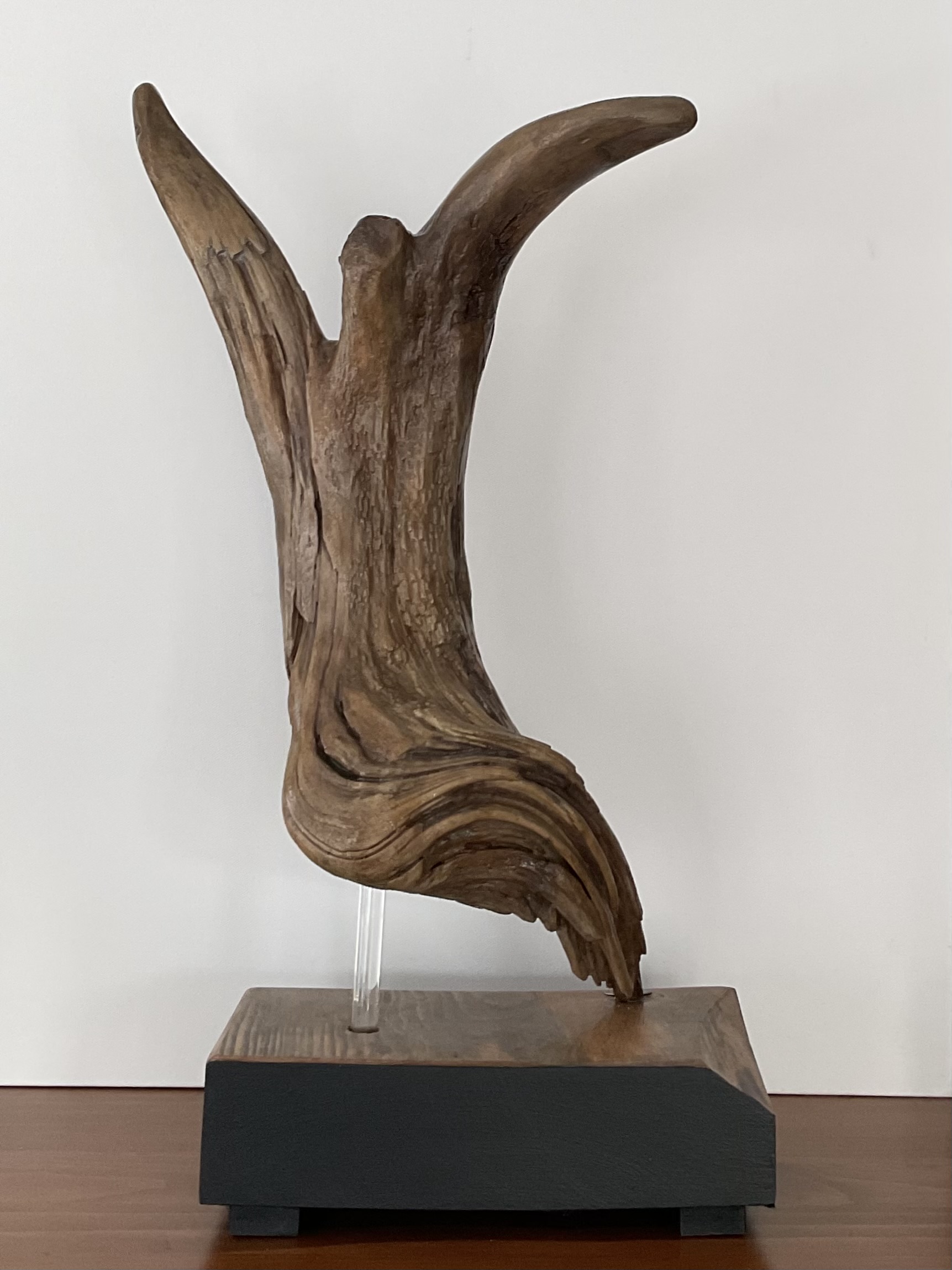 Boréart