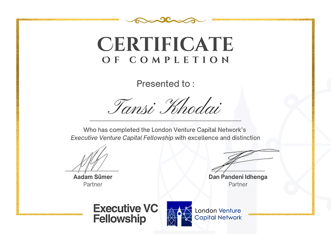 Executive Venture Capital Fellowship