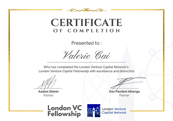 London Venture Capital Fellowship