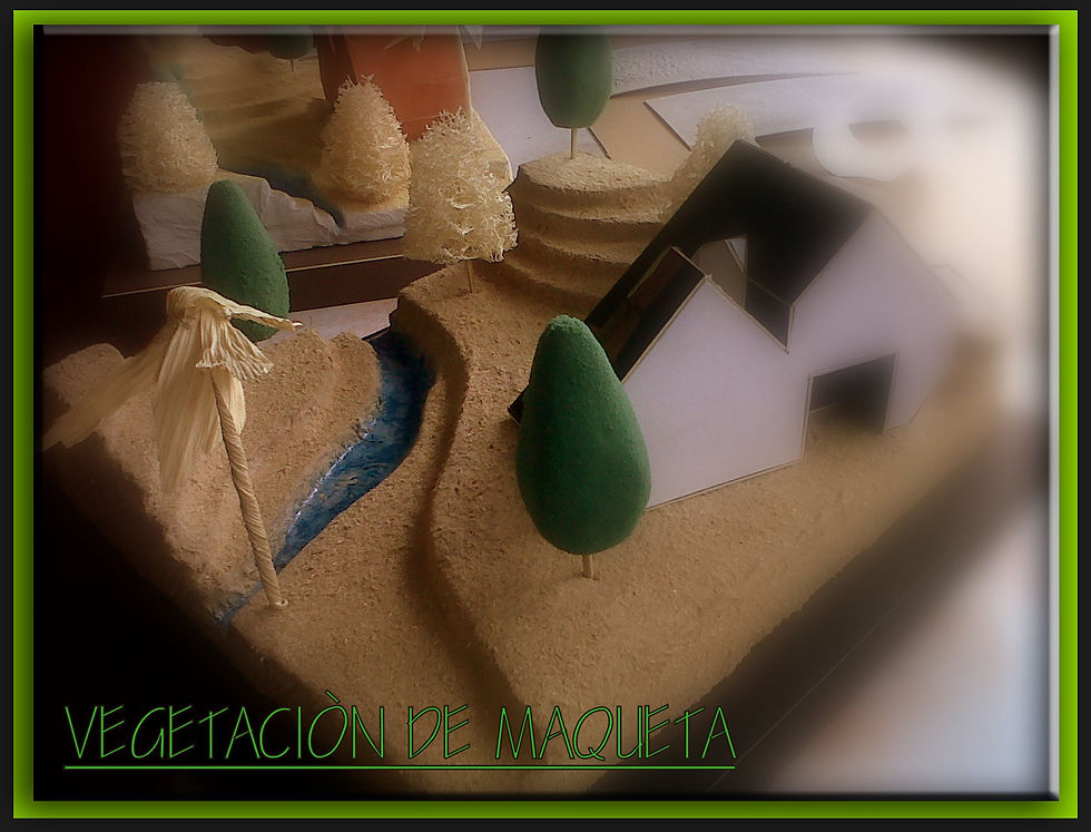 AMBIENTACION DE MAQUETA.