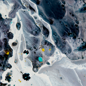 untitled image