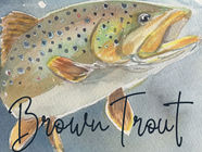 Brown Trout : An Ogemaw County Year