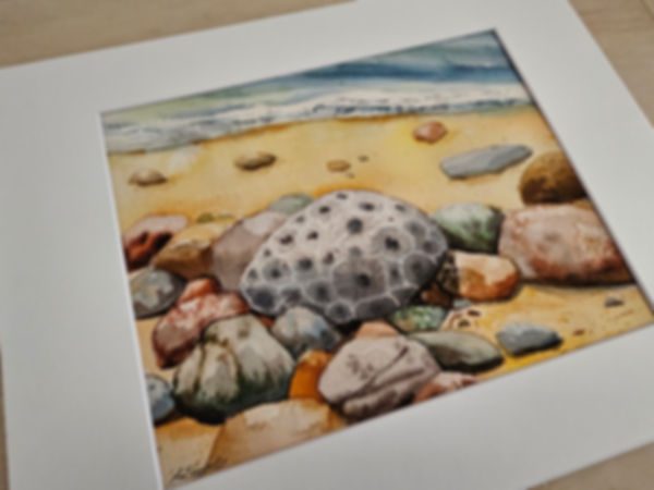 Petoskey Stone Large Watercolor Print