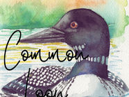 Common Loon: An Ogemaw County Year
