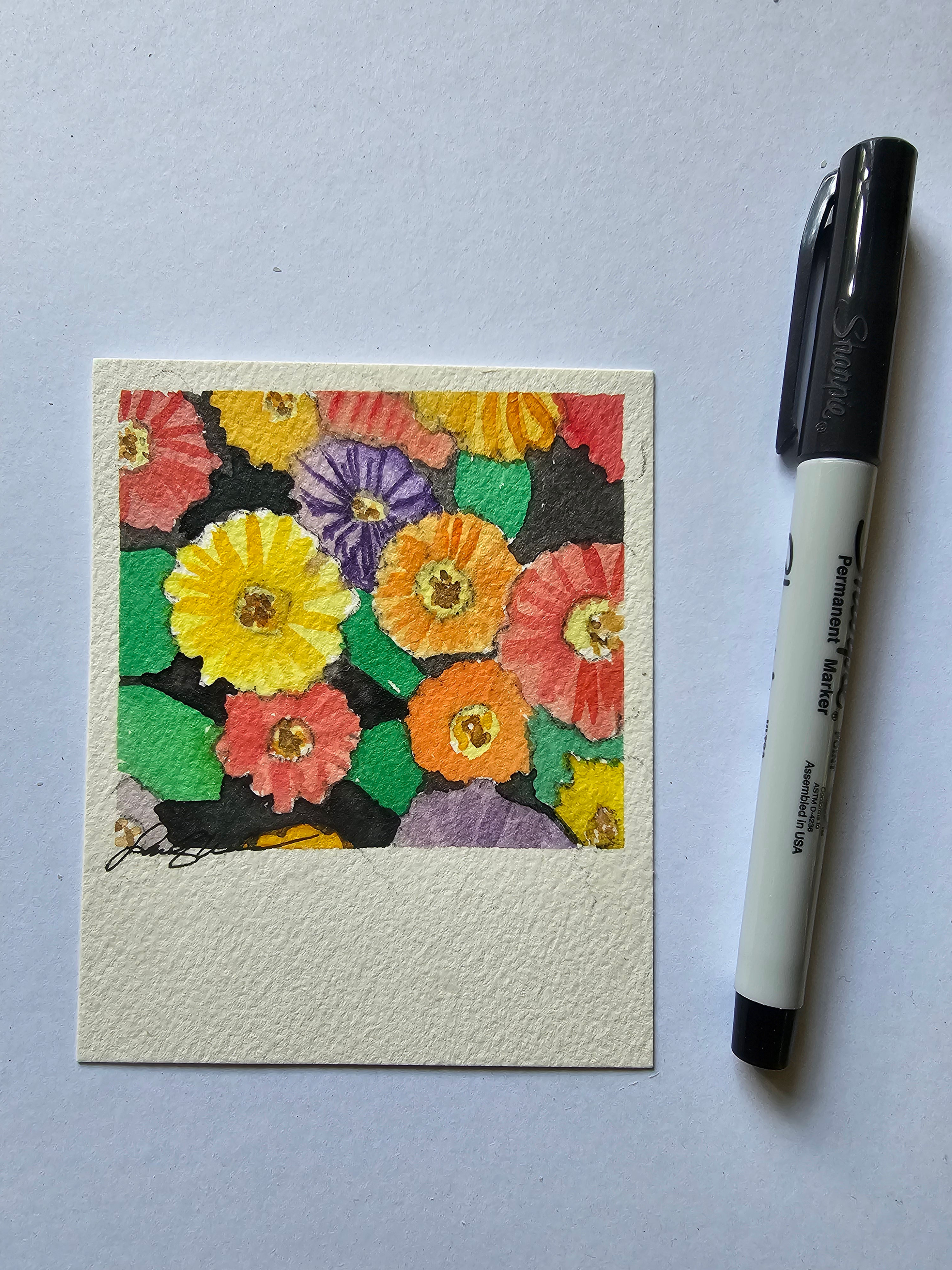 Snapshot: "Zinnia"