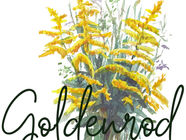  Goldenrod: An Ogemaw County Year