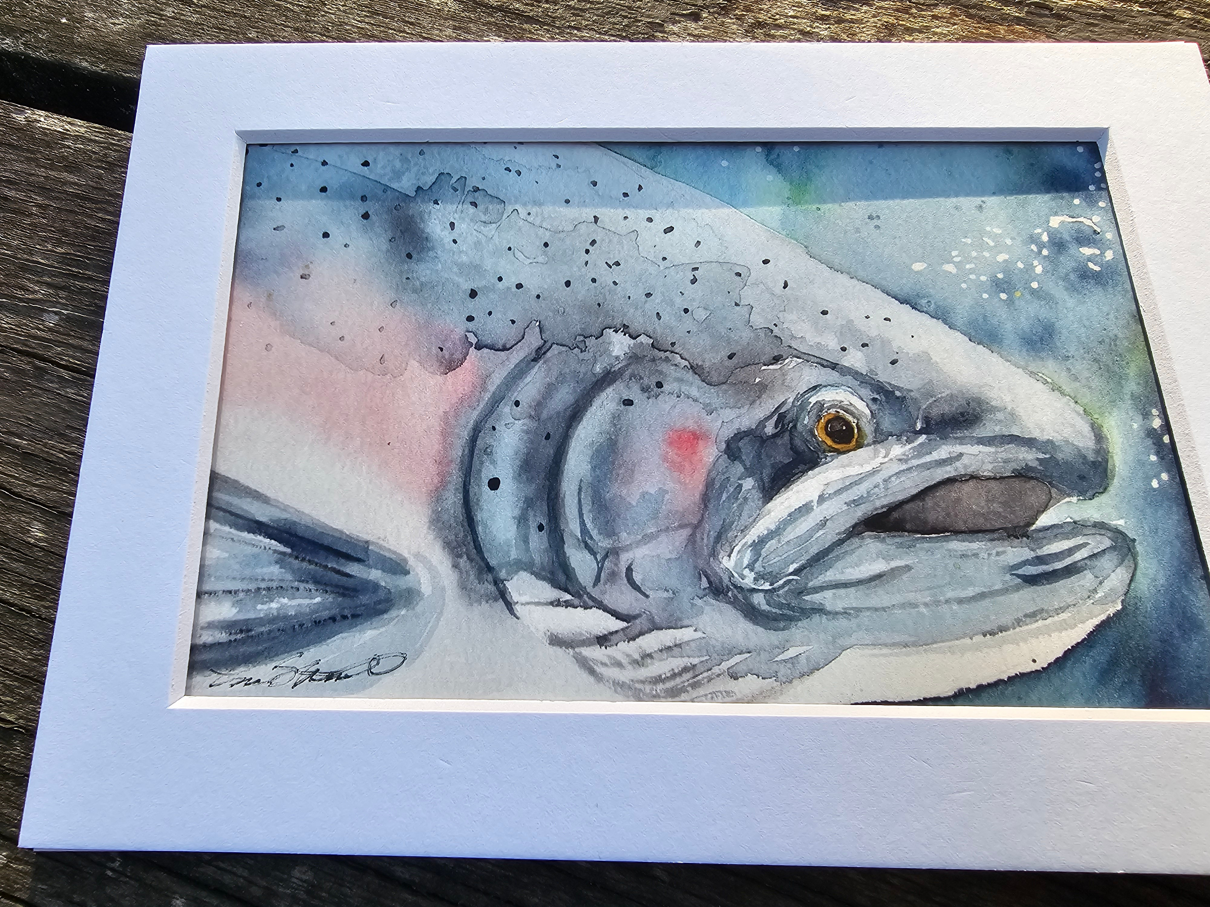 Steelhead 4x6"