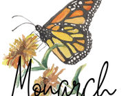Monarch Butterfly: An Ogemaw County Year