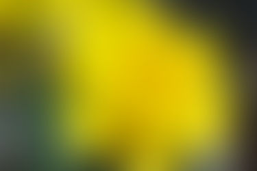 Springtime Plumbing Maintenance