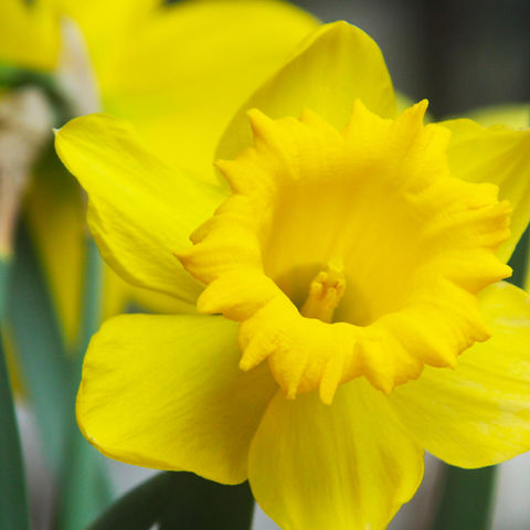 Help! I've lost my mojo!